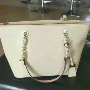 Aldo Tote Chain Bag Bone Color